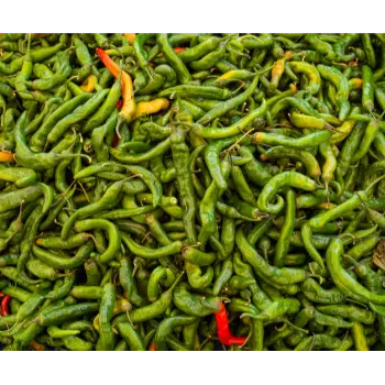 green chilli (25)-7876709-64670.webp